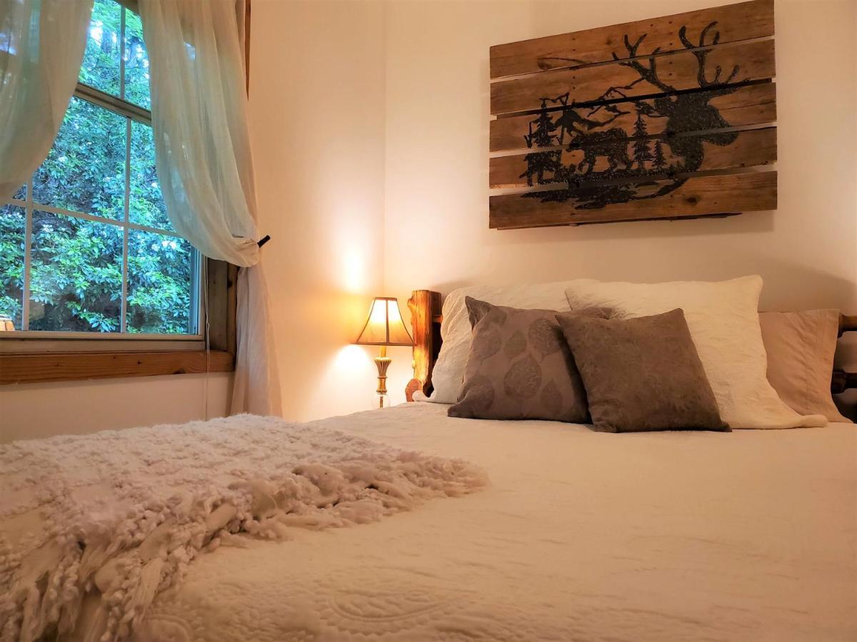 Ridge Retreat At Hearthstone Cabins And Camping - Pet Friendly เฮเลน ภายนอก รูปภาพ